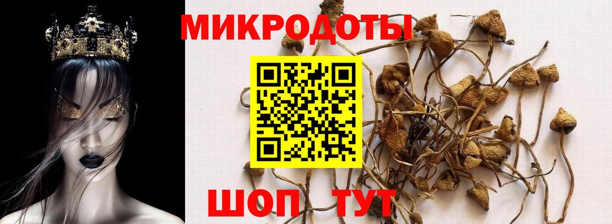 Псилоцибиновые грибы MAGIC MUSHROOMS Сергиев Посад
