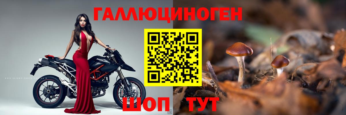 наркошоп  Вход с VPN  Псилоцибиновые грибы MAGIC MUSHROOMS  Сергиев Посад  Псилоцибиновые грибы Cubensis 